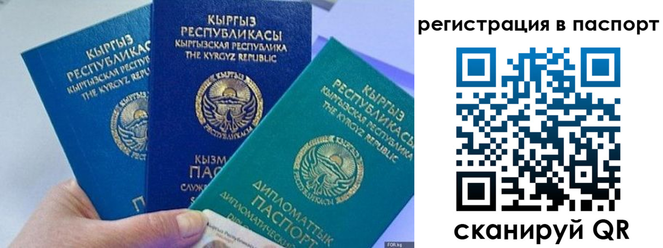прописка 2025 в Кольчугино